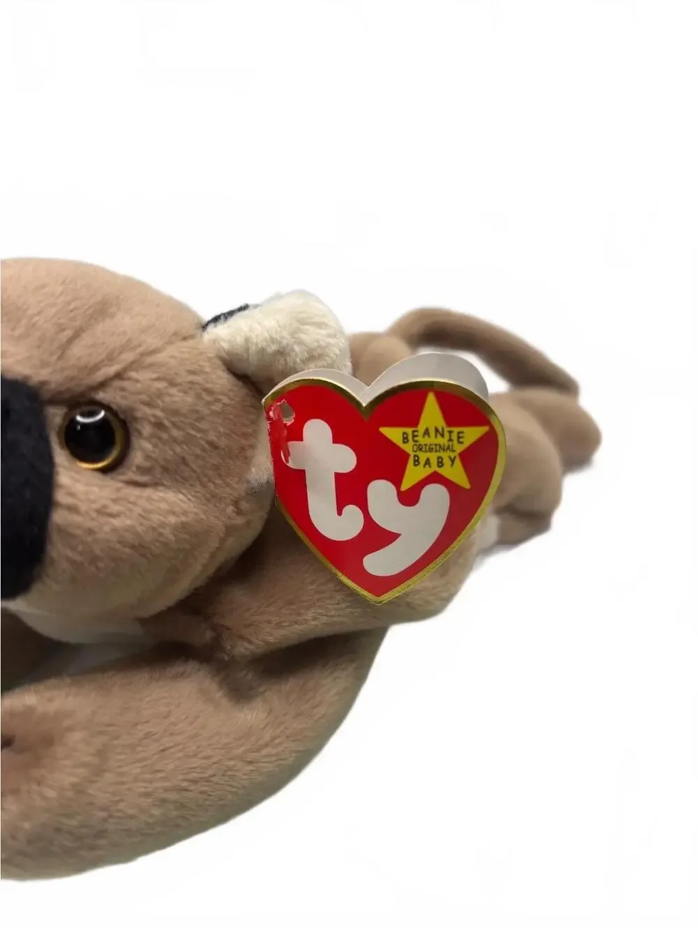 Ty Canyon Beanie Baby Full Size 9